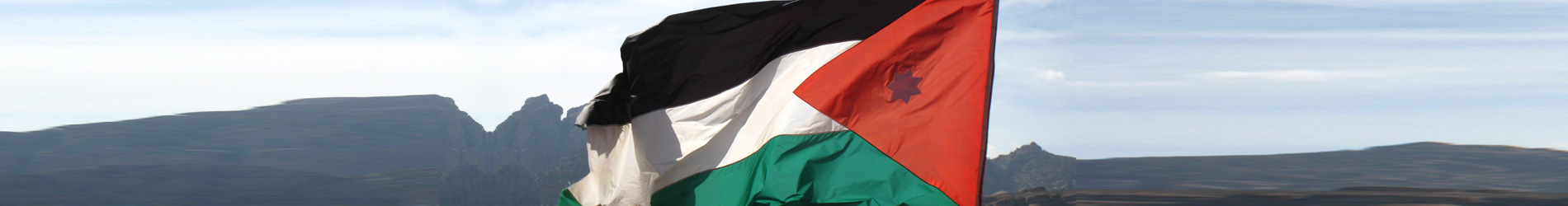 زاوية النماذج